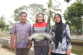 Kilang Plaju lestarikan ikan belida dan perkuat ekonomi warga Sungai Musi