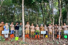 Pemprov Kalsel rehabilitasi hutan seluas 100 ribu hektare&nbsp;