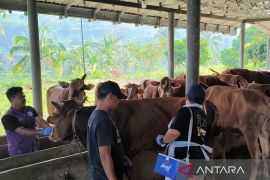 Cianjur pastikan hewan kurban dari luar bebas dari penyakit