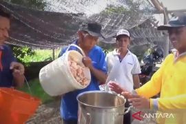 DKPP Ngawi perluas lahan pertanian ramah lingkungan berkelanjutan