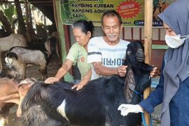DKPP Kota Madiun berikan vaksin PMK hewan kurban jelang Idul Adha