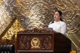 DPR calls on government to address rupiah's weakening