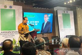 DEN minta warga hemat BBM demi tekan impor di tengah krisis global
