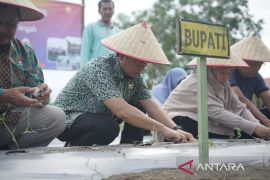 Bangka Tengah galakkan program gerakan tanam bersama