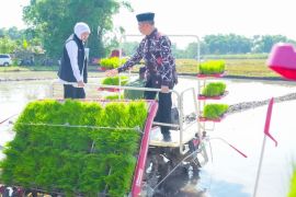 Pemkab Madiun percepat tanam padi antisipasi dampak kemarau panjang