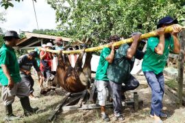 Kukar latih 30 juru sembelih halal hadapi Idul Adha