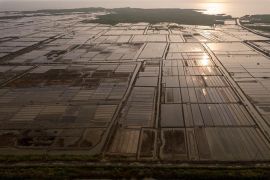 Perjuangan petani garam di Cirebon hadapi perubahan iklim