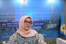 Komnas HAM urges participatory approach in Aceh disaster recovery