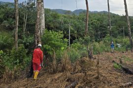 PLN gelar GROWS di Desa Semade dan Tunang perkuat keandalan jaringan listrik di Mempawah