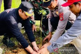 Pemkab Bangli tanam pohon mitigasi rawan longsor