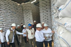 Menteri Pertanian sebut stok beras nasional capai angka tertinggi