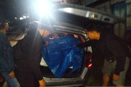 BNN Sumbar tangkap pengedar 150 kilogram ganja lintas provinsi