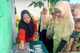 PWAT UBPN Kolaka kunjungi pertanian organik dan produksi teh bunga telang di Desa Puubunga