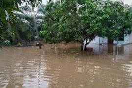 Sungai meluap,  532 jiwa terdampak banjir di Asahan Sumut