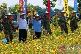 TNI dukung peningkatan produksi pangan nasional