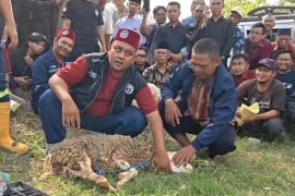 Kemenag Ponorogo tambah juru sembelih halal jelang Idul Adha
