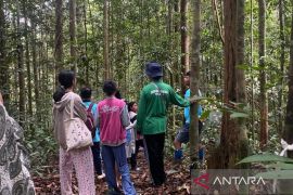 Kehutanan Kaltim tingkatkan kapasitas penyuluh swadaya
