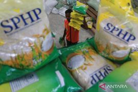 Bapanas memastikan harga beras SPHP tak naik meski fluktuasi kurs dolar