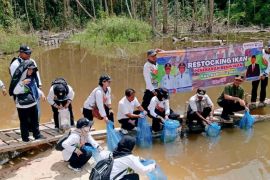 Tingkatkan populasi ikan, DKPP Barut tebar benih ikan di perairan desa