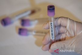 Satu dari empat warga Kanada penumpang MV Hondius diduga positif hantavirus