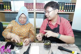 Perpustakaan MPR RI dorong kreativitas pegawai lewat seni terrarium