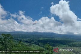 Gunung Semeru erupsi disertai awan panas guguran