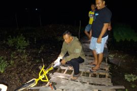 Polhukam kemarin dari tewasnya pelajar hingga pencegahan radikalisme