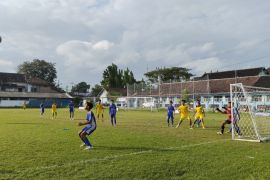 Wabup: Panggungharjo Cup asah bakat sepak bola bagi generasi muda