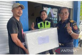 Thailand jadi pasar strategis ekspor tuna Yellowfin Maluku
