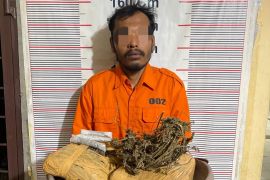 Polsek Bahorok gagalkan peredaran dua Kilogram ganja di Bukit Lawang