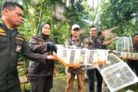 Balai Karantina NTB melepasliarkan ribuan ekor burung ke TWA Suranadi