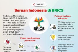 Seruan Indonesia di BRICS