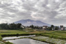PGA: Erupsi Gunung Marapi semburkan abu vulkanik setinggi 500 meter