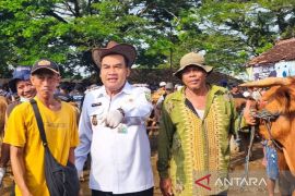 Bupati Blora pantau lonjakan transaksi hewan ternak jelang kurban
