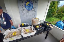Satgas perbatasan gagalkan penyelundupan 2.253 butir telur penyu