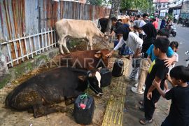Gubernur DKI larang pedagang hewan kurban berjualan di trotoar