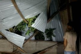 Cuaca buruk, rumah warga di Pulau Simeulue ditimpa pohon mangga