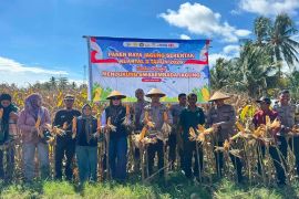 Polres-Donggala libatkan pemda panen 8 ton jagung di Labuan Toposo