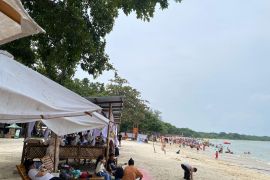 Pemkab Lampung Selatan minta pengelola wisata pantai terapkan SOP keselamatan