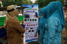 Pembudidaya ikan HSS dilatih pembuatan pakan alami