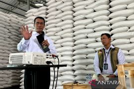 Bulog usul program "Beras Kita Premium" stabilkan harga pasar