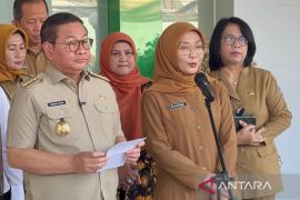 Dinkes DKI awasi enam suspek dan tiga kasus Hantavirus