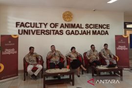 UGM kembangkan teknologi pemotongan ternak kurban yang efisien