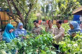 Warga Pulau Kelapa diajak bangun ketahanan pangan lewat urban farming