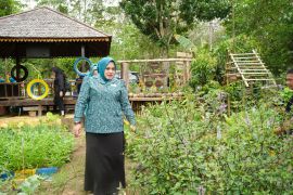 TP PKK Tapin optimalkan pekarangan untuk ketahanan pangan