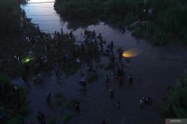 Tradisi berburu ikan pladu di Sungai Brantas
