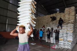 Penyaluran beras bantuan menembus isolasi dan kerawanan Papua