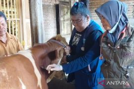 DKPP Kota Madiun perketat pengawasan aktivitas jual beli hewan kurban