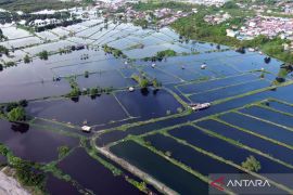 BMKG NTB mengingatkan potensi banjir rob akibat Purnama Biru