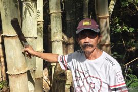 Saat bambu jadi jalan tengah antara hutan lestari dan penghidupan